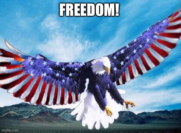 Freedom eagle | FREEDOM! | image tagged in freedom eagle | made w/ Imgflip meme maker