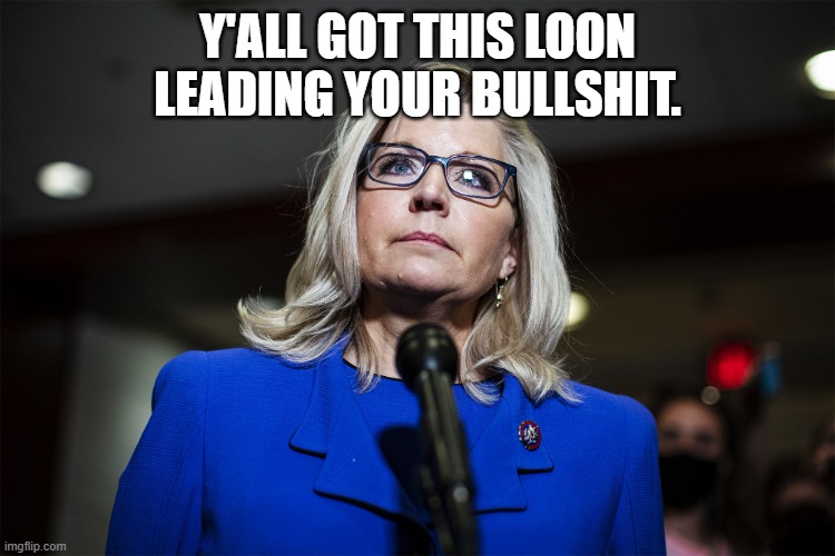 Liz Cheney | Y'ALL GOT THIS LOON LEADING YOUR BULLSHIT. | image tagged in liz cheney | made w/ Imgflip meme maker