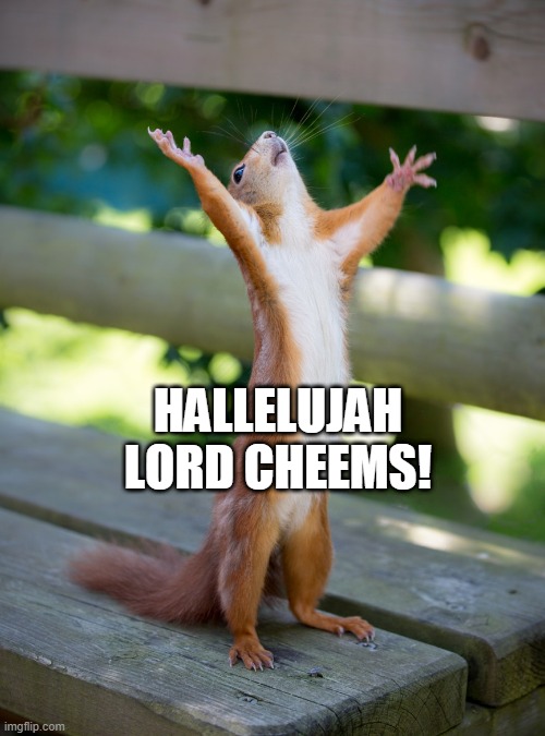 Hallelujah | HALLELUJAH LORD CHEEMS! | image tagged in hallelujah | made w/ Imgflip meme maker