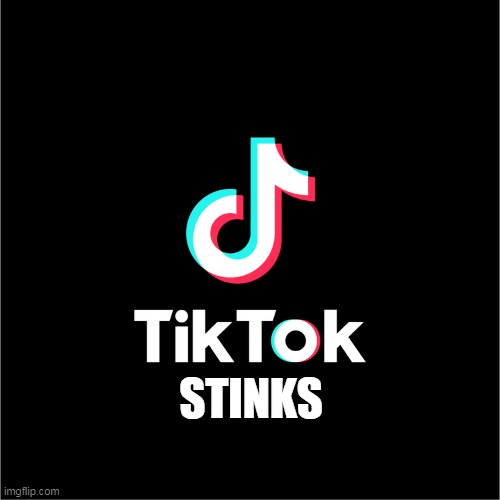 tiktok logo | STINKS | image tagged in tiktok logo | made w/ Imgflip meme maker