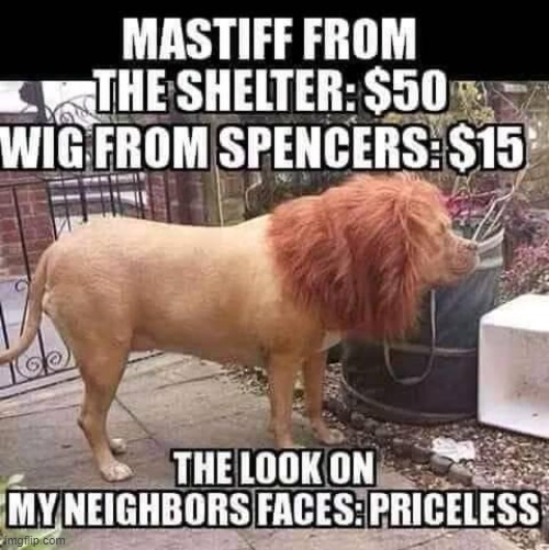 Priceless | image tagged in priceless memes,mastiff | made w/ Imgflip meme maker