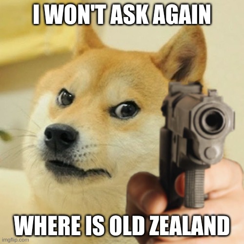 Doge holding a gun | I WON'T ASK AGAIN; WHERE IS OLD ZEALAND | image tagged in doge holding a gun | made w/ Imgflip meme maker