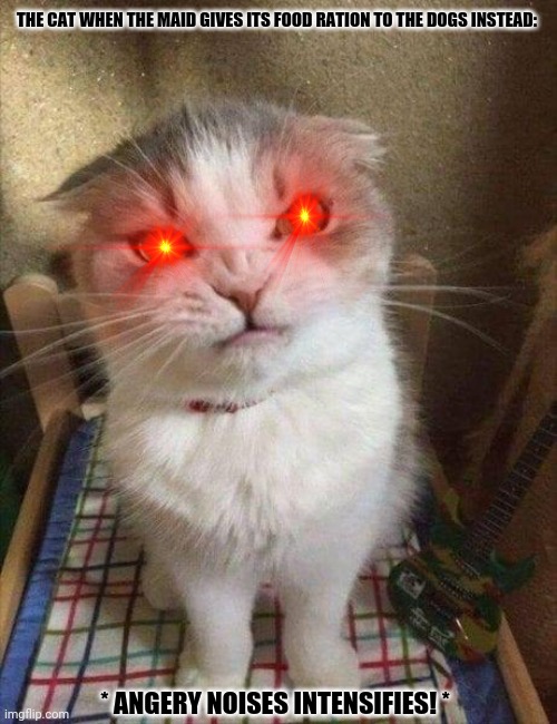 Angry cat | THE CAT WHEN THE MAID GIVES ITS FOOD RATION TO THE DOGS INSTEAD:; * ANGERY NOISES INTENSIFIES! * | image tagged in memes,funny cat birthday,dog poop | made w/ Imgflip meme maker