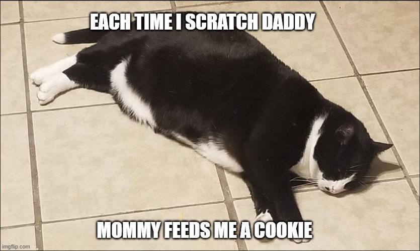 EACH TIME I SCRATCH DADDY; MOMMY FEEDS ME A COOKIE | made w/ Imgflip meme maker
