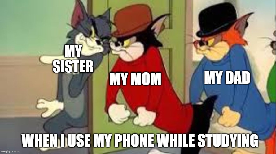 Sisters be like | MY SISTER; MY DAD; MY MOM; WHEN I USE MY PHONE WHILE STUDYING | image tagged in tom and jerry goons | made w/ Imgflip meme maker