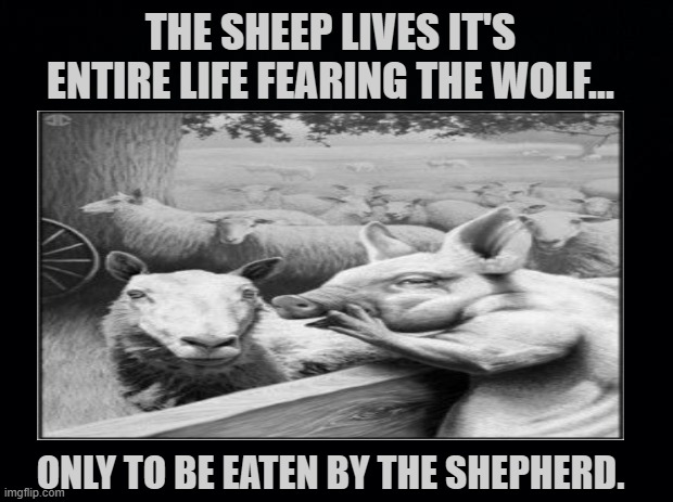 Be Careful Who You Trust | THE SHEEP LIVES IT'S ENTIRE LIFE FEARING THE WOLF... ONLY TO BE EATEN BY THE SHEPHERD. | image tagged in be careful who you trust,do not trust god,no one watching over you never was never will be,hail satan | made w/ Imgflip meme maker