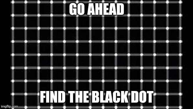 ... |  GO AHEAD; FIND THE BLACK DOT | image tagged in find the black dot | made w/ Imgflip meme maker