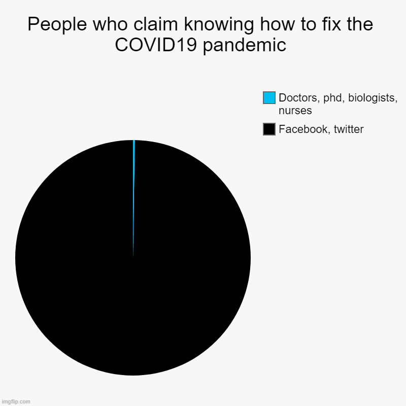 Hail to our saviours | People who claim knowing how to fix the COVID19 pandemic | Facebook, twitter, Doctors, phd, biologists, nurses | image tagged in charts,coronavirus,pandemic,covid-19,social media,funny | made w/ Imgflip chart maker