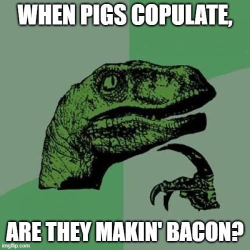 Philosoraptor | WHEN PIGS COPULATE, ARE THEY MAKIN' BACON? | image tagged in memes,philosoraptor | made w/ Imgflip meme maker