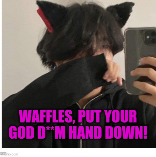 *Angy* | WAFFLES, PUT YOUR GOD D**M HAND DOWN! | image tagged in angy | made w/ Imgflip meme maker