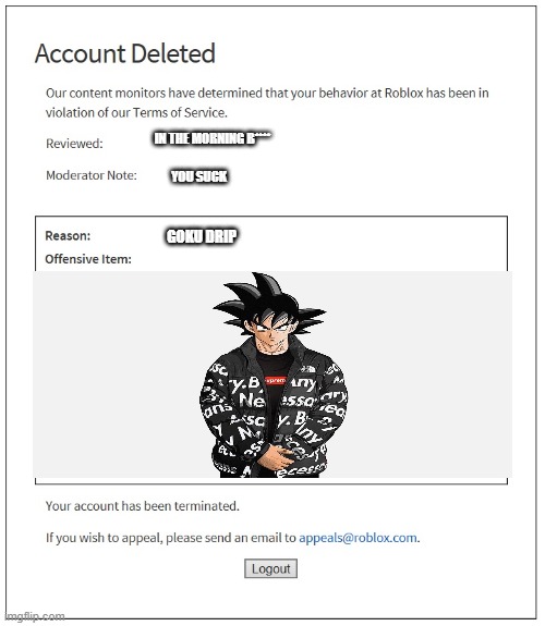 base on a true story | IN THE MORNING B****; YOU SUCK; GOKU DRIP | image tagged in banned from roblox | made w/ Imgflip meme maker