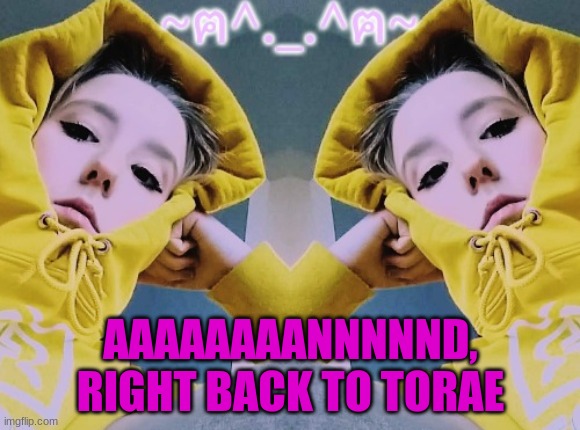 TORAEEEEEEE | AAAAAAAANNNNND, RIGHT BACK TO TORAE | image tagged in toraeeeeeee | made w/ Imgflip meme maker
