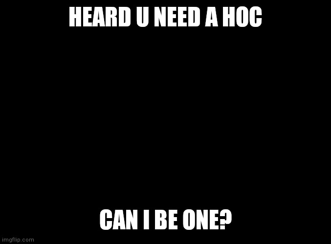 Plz | HEARD U NEED A HOC; CAN I BE ONE? | image tagged in blank black | made w/ Imgflip meme maker