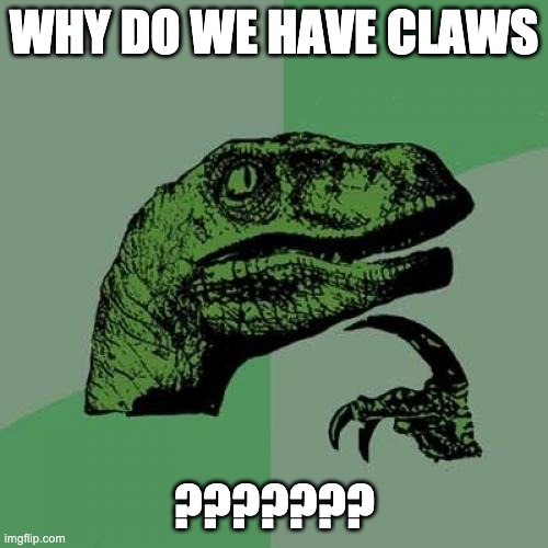 the funni thing is, he's a raptor | WHY DO WE HAVE CLAWS; ??????? | image tagged in memes,philosoraptor | made w/ Imgflip meme maker