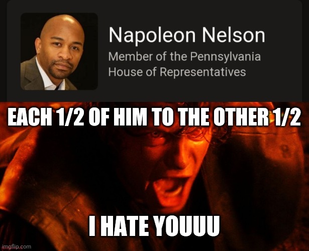 i hate myself lol | EACH 1/2 OF HIM TO THE OTHER 1/2; I HATE YOUUU | image tagged in anakin i hate you,napoleon nelson,napoleon,nelson,star wars,history | made w/ Imgflip meme maker
