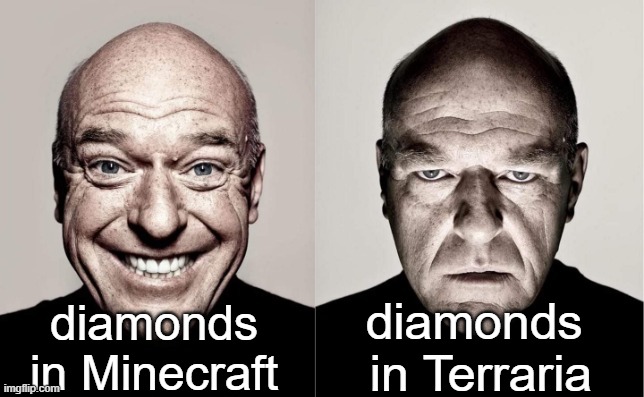 useless terrarian diamonds :( | diamonds 
in Terraria; diamonds
in Minecraft | image tagged in hank | made w/ Imgflip meme maker