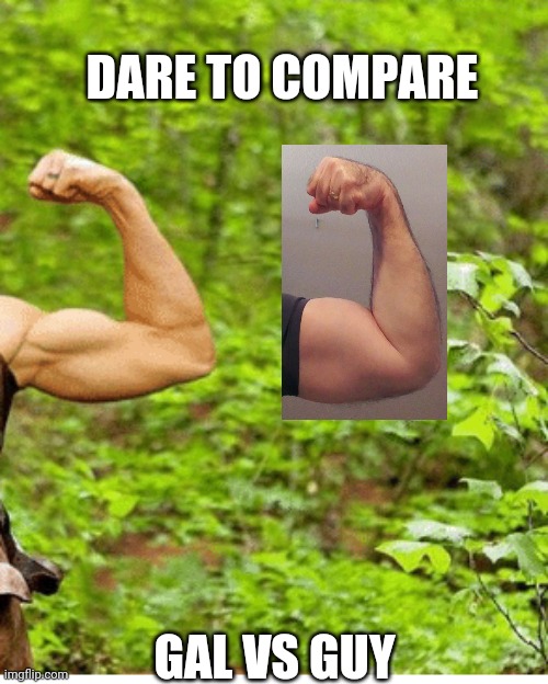 Bicep size contest |  DARE TO COMPARE; GAL VS GUY | image tagged in biceps,comparison,swole,guns,flexing,big | made w/ Imgflip meme maker