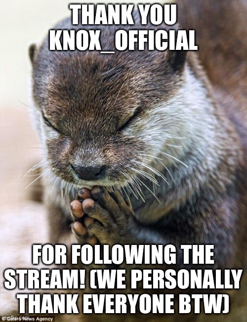 Thank you Lord Otter | THANK YOU KNOX_OFFICIAL; FOR FOLLOWING THE STREAM! (WE PERSONALLY THANK EVERYONE BTW) | image tagged in thank you lord otter,eym,eym party | made w/ Imgflip meme maker