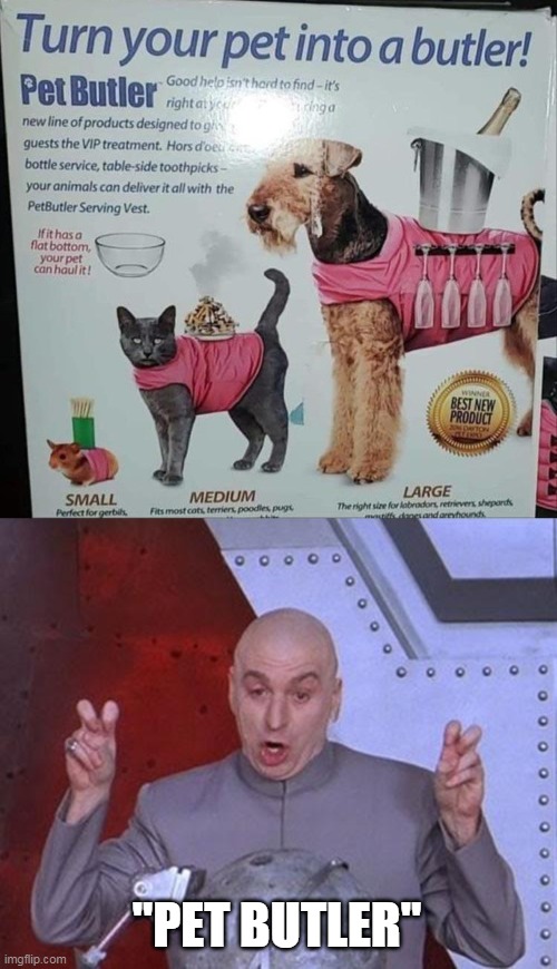 "PET BUTLER" | image tagged in memes,dr evil laser | made w/ Imgflip meme maker