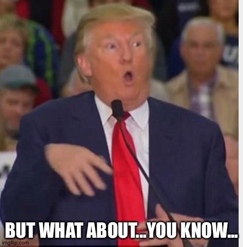 Donald Trump tho | BUT WHAT ABOUT...YOU KNOW... | image tagged in donald trump tho | made w/ Imgflip meme maker