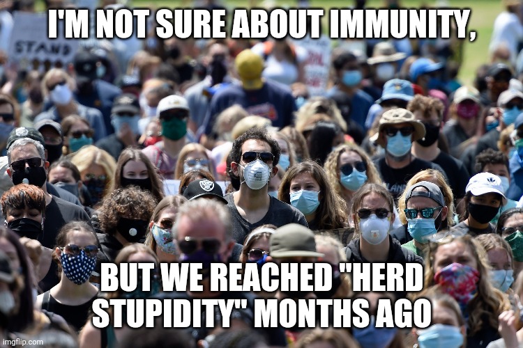 Mask mandates | I'M NOT SURE ABOUT IMMUNITY, BUT WE REACHED "HERD STUPIDITY" MONTHS AGO | image tagged in face mask,mask,stupid,stupid people | made w/ Imgflip meme maker