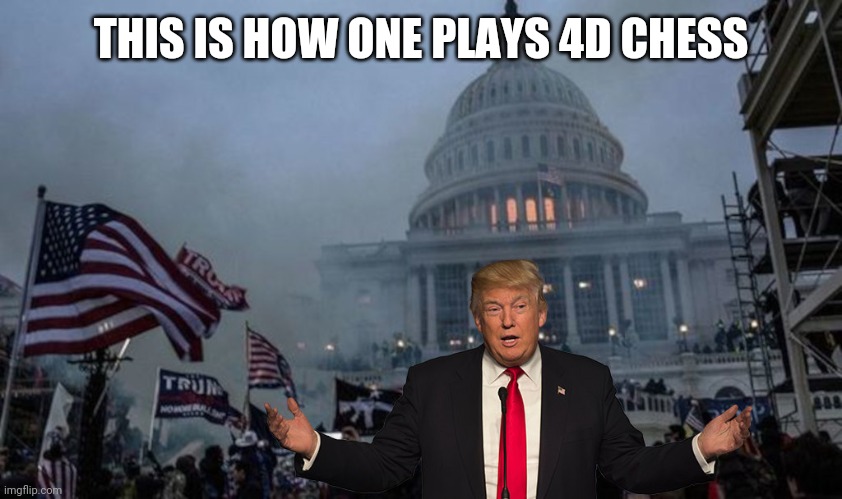 Irony is that he would lose a game of checkers to a capable orangutan | THIS IS HOW ONE PLAYS 4D CHESS | image tagged in misconstrued coup | made w/ Imgflip meme maker