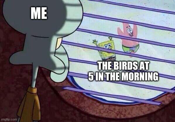 birdie |  ME; THE BIRDS AT 5 IN THE MORNING | image tagged in squidward window,birds,memes,spongebob | made w/ Imgflip meme maker