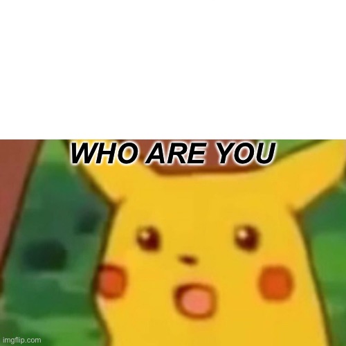 Surprised Pikachu Meme | WHO ARE YOU | image tagged in memes,surprised pikachu | made w/ Imgflip meme maker