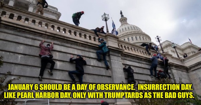 Insurrection Day | JANUARY 6 SHOULD BE A DAY OF OBSERVANCE.  INSURRECTION DAY.
LIKE PEARL HARBOR DAY, ONLY WITH TRUMPTARDS AS THE BAD GUYS. | image tagged in capitol riot | made w/ Imgflip meme maker