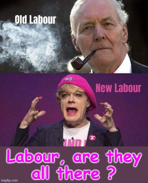 LABOUR - are they all there ? | Labour, are they
all there ? | image tagged in labour party | made w/ Imgflip meme maker