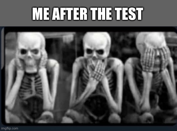 My ancestors | ME AFTER THE TEST | image tagged in my ancestors | made w/ Imgflip meme maker