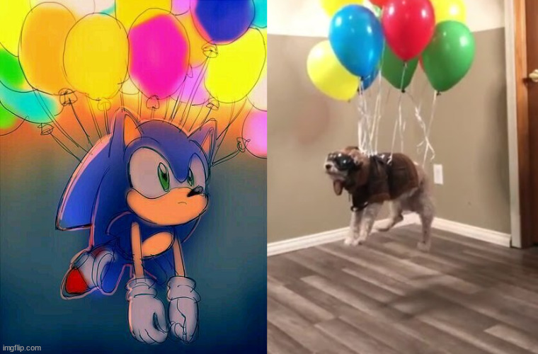 Live Action Sonic 3? | image tagged in sonic,sonic the hedgehog,tails the fox,sonic x,sonic boom,sonic derp | made w/ Imgflip meme maker