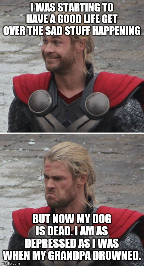 Thor happy then sad | I WAS STARTING TO HAVE A GOOD LIFE GET OVER THE SAD STUFF HAPPENING; BUT NOW MY DOG IS DEAD. I AM AS DEPRESSED AS I WAS WHEN MY GRANDPA DROWNED. | image tagged in thor happy then sad | made w/ Imgflip meme maker