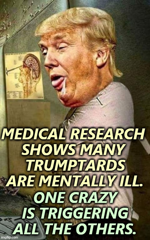 Like one crying baby setting off all the others in the room. | MEDICAL RESEARCH 
SHOWS MANY 
TRUMPTARDS ARE MENTALLY ILL. ONE CRAZY IS TRIGGERING ALL THE OTHERS. | image tagged in trump,mental illness,crazy,nuts | made w/ Imgflip meme maker