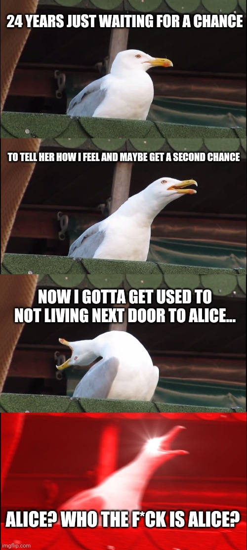 Inhaling Seagull Meme | 24 YEARS JUST WAITING FOR A CHANCE; TO TELL HER HOW I FEEL AND MAYBE GET A SECOND CHANCE; NOW I GOTTA GET USED TO NOT LIVING NEXT DOOR TO ALICE... ALICE? WHO THE F*CK IS ALICE? | image tagged in memes,anthem,singing,inhaling seagull | made w/ Imgflip meme maker