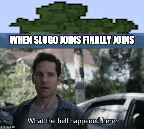 What the hell happened here? | WHEN SLOGO JOINS FINALLY JOINS | image tagged in what the hell happened here | made w/ Imgflip meme maker