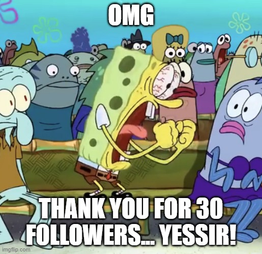 THANK U! | OMG; THANK YOU FOR 30 FOLLOWERS... YESSIR! | image tagged in angry spongebob | made w/ Imgflip meme maker