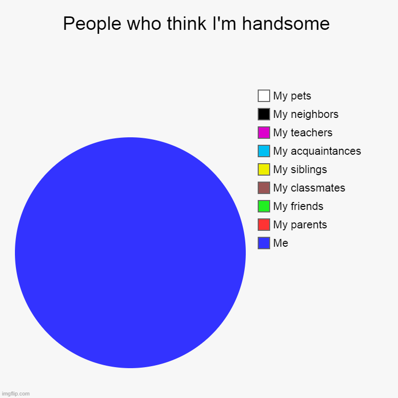 100% true | People who think I'm handsome | Me, My parents, My friends, My classmates, My siblings, My acquaintances, My teachers, My neighbors, My pets | image tagged in charts,pie charts,memes,funny,handsome | made w/ Imgflip chart maker