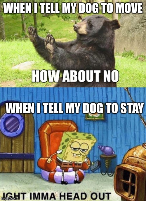 WHEN I TELL MY DOG TO MOVE; WHEN I TELL MY DOG TO STAY | image tagged in memes,how about no bear,ight imma head out | made w/ Imgflip meme maker