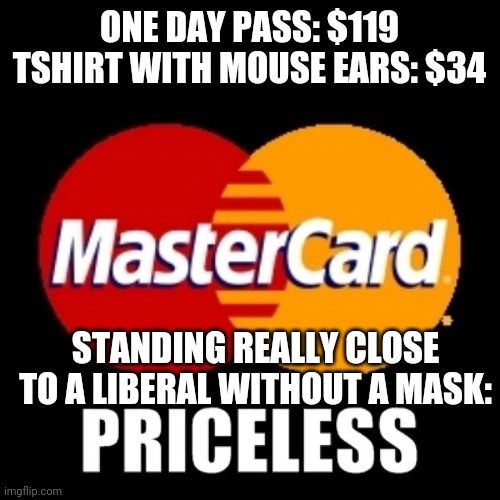 Politics and stuff | ONE DAY PASS: $119
TSHIRT WITH MOUSE EARS: $34; STANDING REALLY CLOSE TO A LIBERAL WITHOUT A MASK: | image tagged in priceless | made w/ Imgflip meme maker