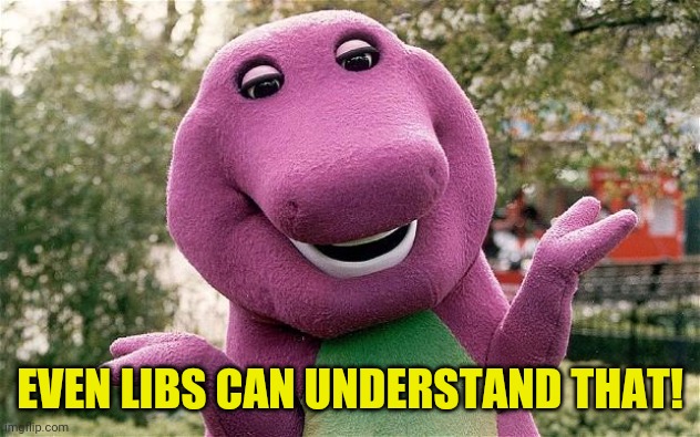 barney | EVEN LIBS CAN UNDERSTAND THAT! | image tagged in barney | made w/ Imgflip meme maker