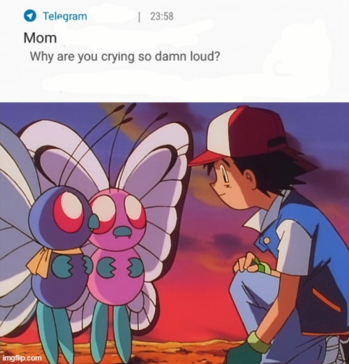 sad | image tagged in why are you crying so damn loud,pokemon | made w/ Imgflip meme maker