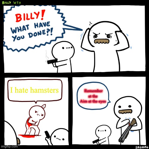Billy gun | I hate hamsters; Remember at the Aim at the eyes | image tagged in billy what have you done | made w/ Imgflip meme maker