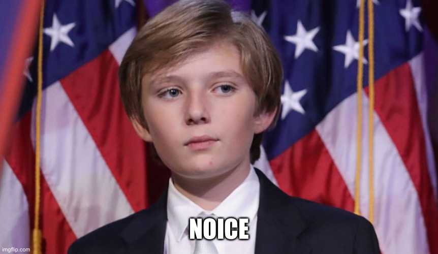 Barron Trump | NOICE | image tagged in barron trump | made w/ Imgflip meme maker