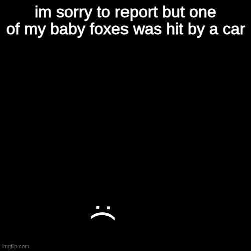 im very sad | im sorry to report but one of my baby foxes was hit by a car; :( | image tagged in memes,blank transparent square | made w/ Imgflip meme maker