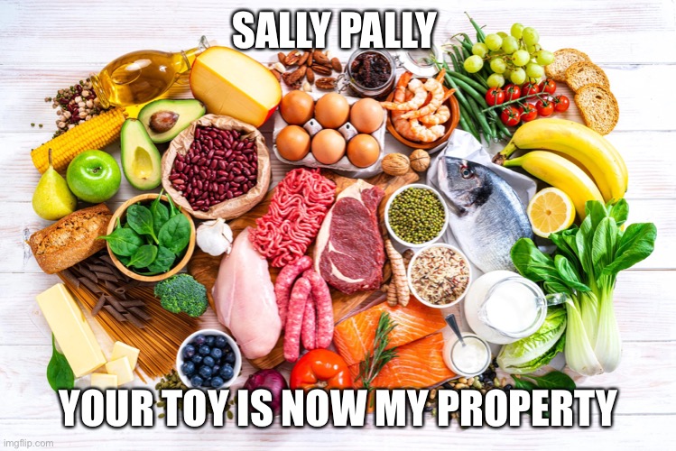 Sally pally your toy is not my property | SALLY PALLY; YOUR TOY IS NOW MY PROPERTY | image tagged in memes | made w/ Imgflip meme maker