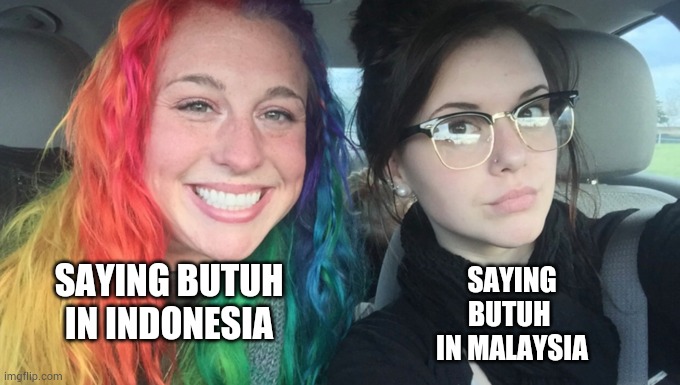 Remember they have different meanings | SAYING BUTUH  IN MALAYSIA; SAYING BUTUH IN INDONESIA | image tagged in my sister and i are polar opposites | made w/ Imgflip meme maker