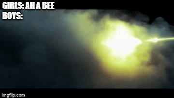 poor bee | GIRLS: AH A BEE
BOYS: | image tagged in gifs,memes | made w/ Imgflip video-to-gif maker