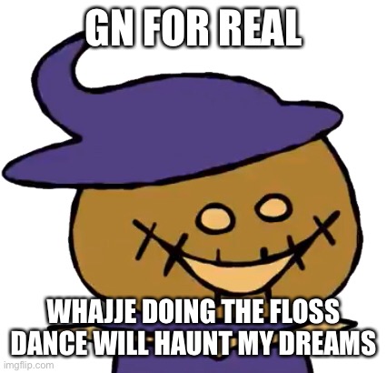 Funny Zardy | GN FOR REAL; WHAJJE DOING THE FLOSS DANCE WILL HAUNT MY DREAMS | image tagged in funny zardy | made w/ Imgflip meme maker