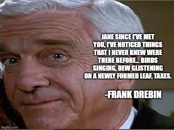 The original last word was stoplights. | JANE SINCE I'VE MET YOU, I'VE NOTICED THINGS THAT I NEVER KNEW WERE THERE BEFORE... BIRDS SINGING, DEW GLISTENING ON A NEWLY FORMED LEAF, TAXES. -FRANK DREBIN | image tagged in police,comedy | made w/ Imgflip meme maker